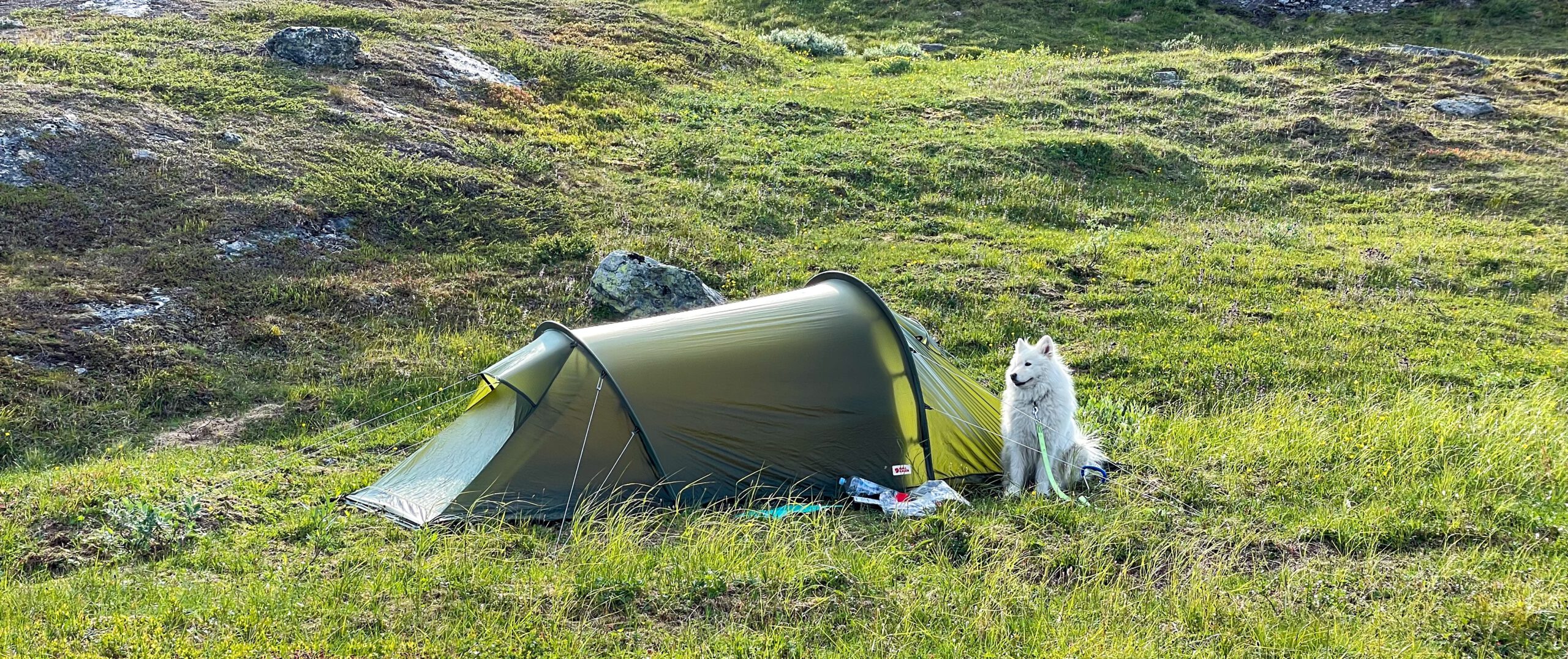 One Night Outdoors