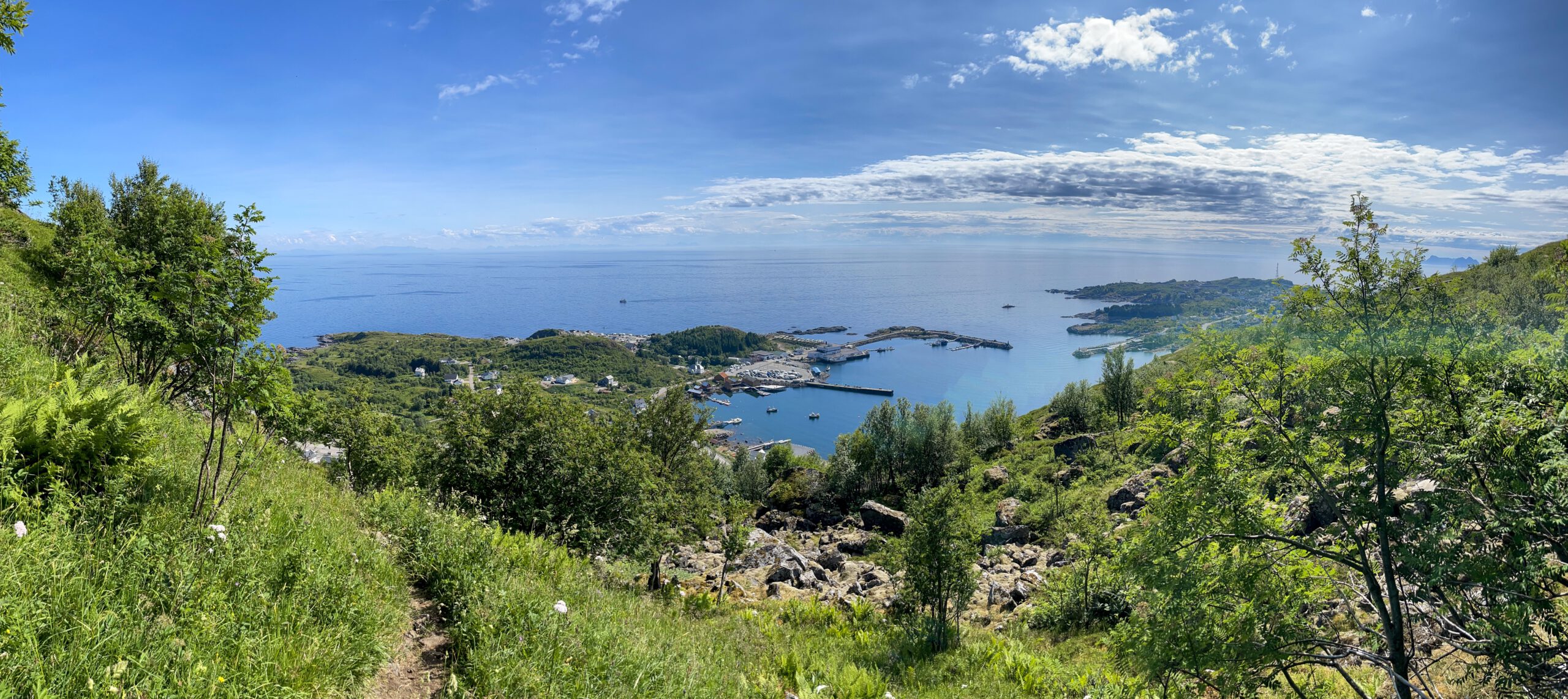 Lofoten Moskenes