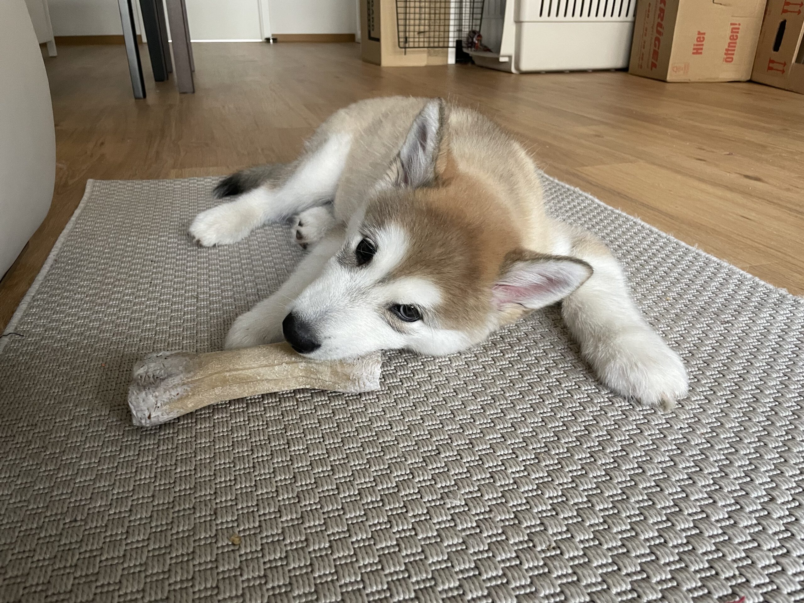 First Play Time Outside